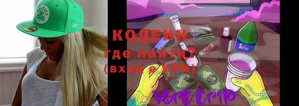 эйфоретик Вяземский