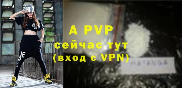 эйфоретик Вяземский