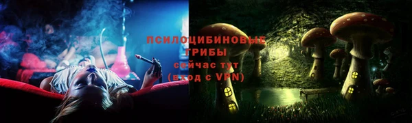 СК Вязьма