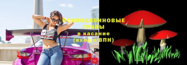 СК Вязники