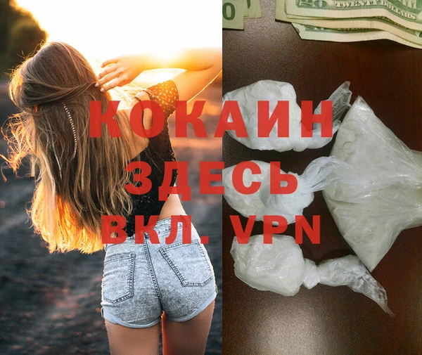 эйфоретик Вяземский