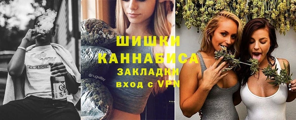 СК Вязьма
