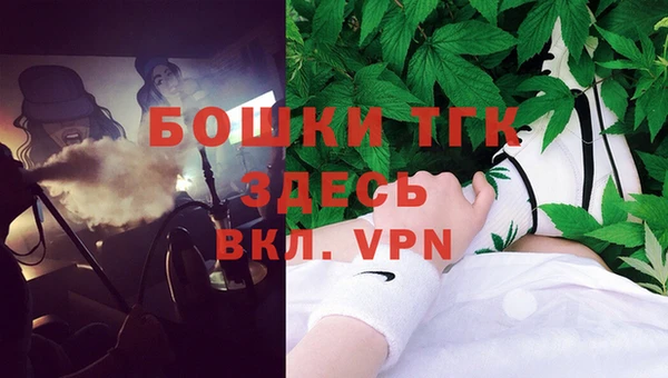 СК Вязьма