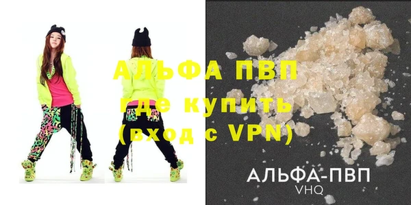 эйфоретик Вяземский